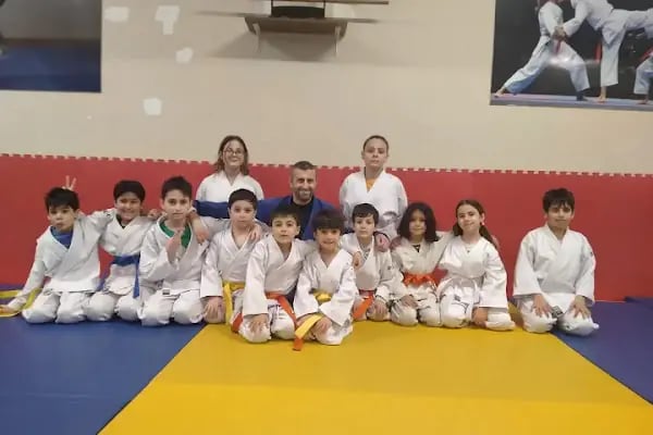 Serkan Yılmaz Uzakdoğu Sporları Merkezi - Resim 18