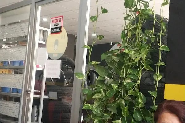 Pirelli Lastikleri - Lastikçioğlu - Resim 4