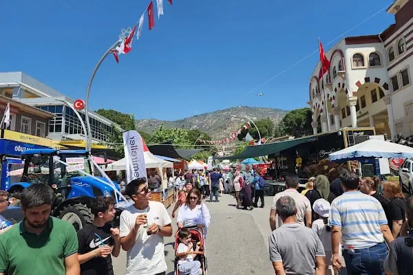 Bayındır İlçe Kaymakamlığı - Resim 7