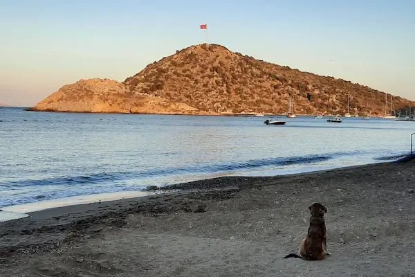 GÜMÜŞLÜK DOLMUŞ DURAĞI - Resim 11