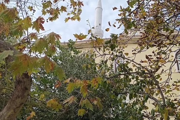 Karatoprak Cami - Resim 6