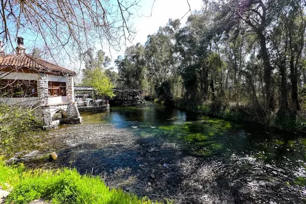 Azmak Nehri Restorantları - Resim 16