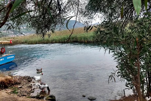 Azmak Nehri Restorantları - Resim 13