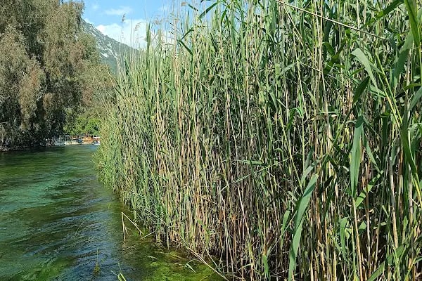Azmak Nehri Restorantları - Resim 7