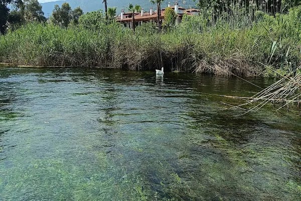 Azmak Nehri Restorantları - Resim 6