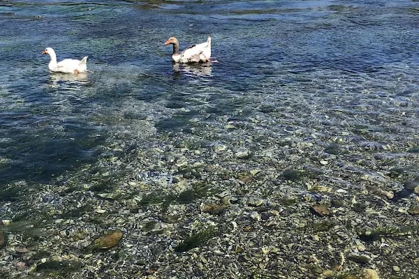 Azmak Nehri Restorantları - Resim 14