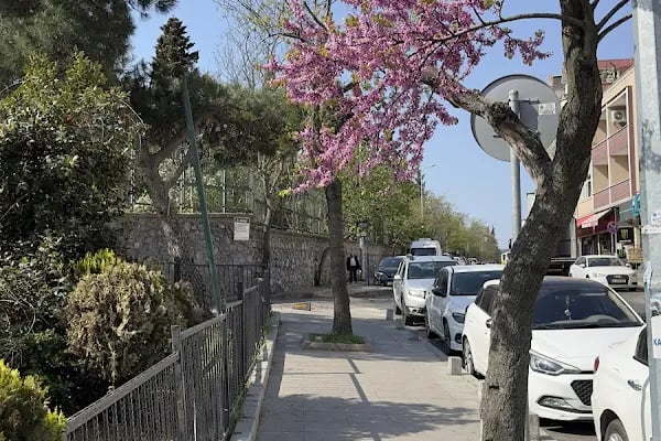 İBB Duatepe Parkı - Resim 10