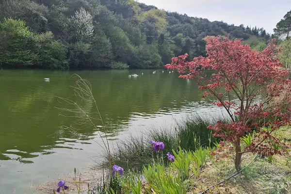 İBB Duatepe Parkı - Resim 15