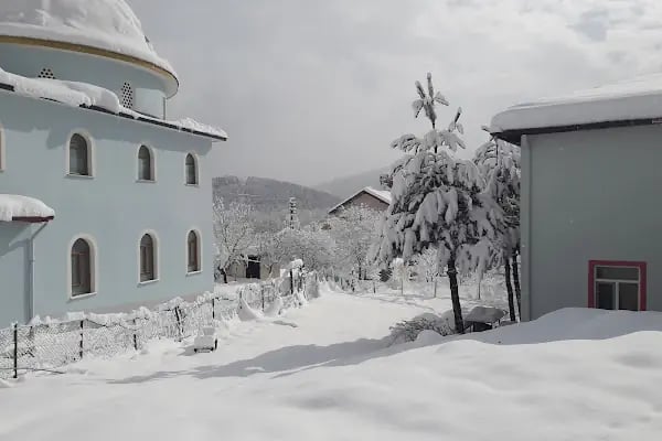Cevizli Yediler Camii - Resim 6