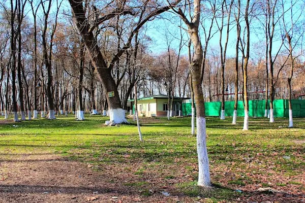 Alaçam Belediyesi - Resim 3