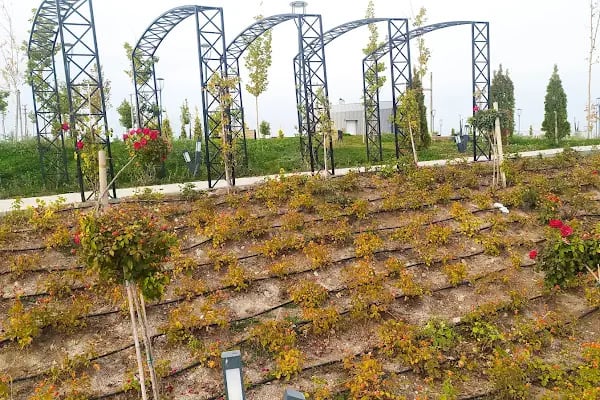 Altındağ millet bahçesi - Resim 16