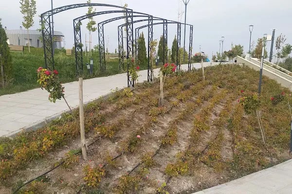 Altındağ millet bahçesi - Resim 4