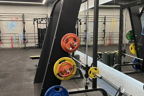 V EMS FITNESS PLUS - Resim 2