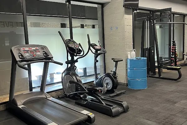 V EMS FITNESS PLUS - Resim 19