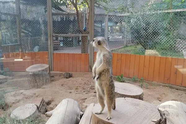 ANTALYA DOĞAL YAŞAM PARKI - Resim 11