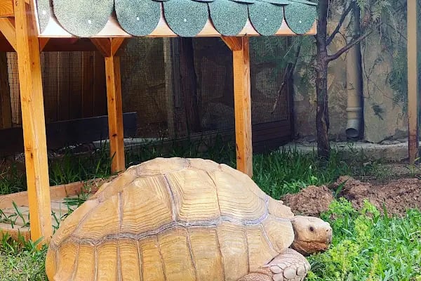 ANTALYA DOĞAL YAŞAM PARKI - Resim 12
