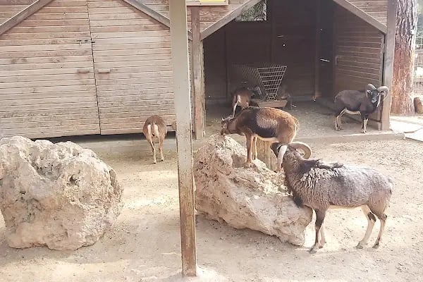 ANTALYA DOĞAL YAŞAM PARKI - Resim 15