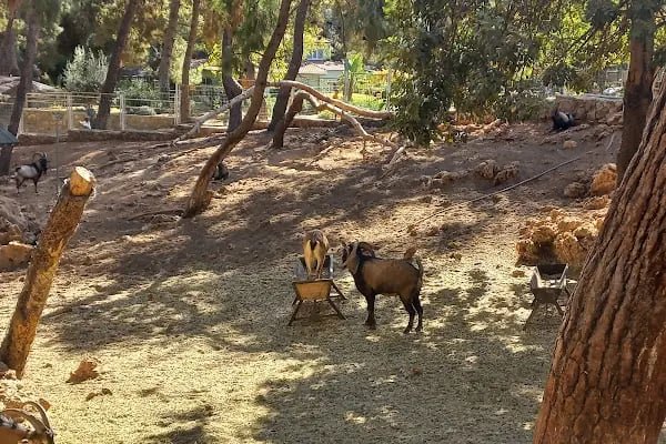 ANTALYA DOĞAL YAŞAM PARKI - Resim 13