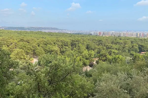 ANTALYA DOĞAL YAŞAM PARKI - Resim 4