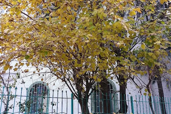 Şirinyer Vergi Dairesi - Resim 16