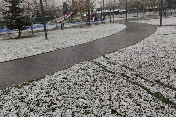 Sakarya Üniversitesi Eğitim Fakültesi - Resim 11
