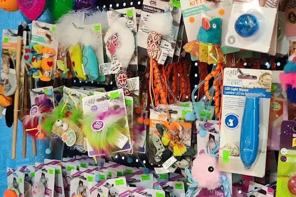 Mahmutlar Pet store - Resim 16