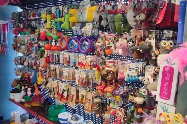 Mahmutlar Pet store - Resim 6