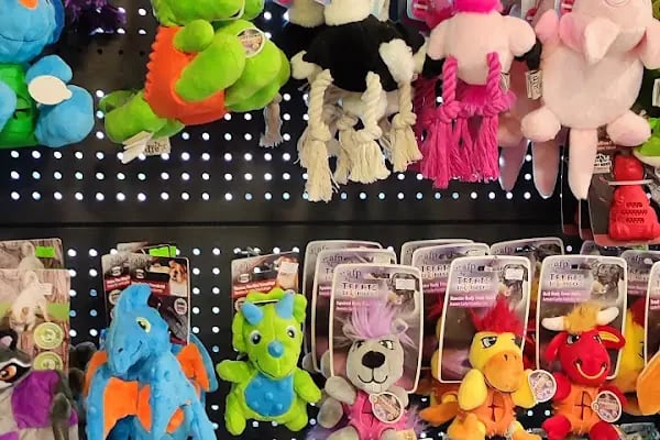 Mahmutlar Pet store - Resim 9