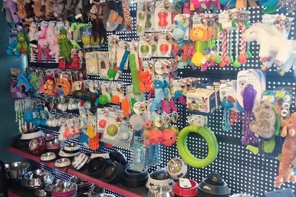 Mahmutlar Pet store - Resim 3