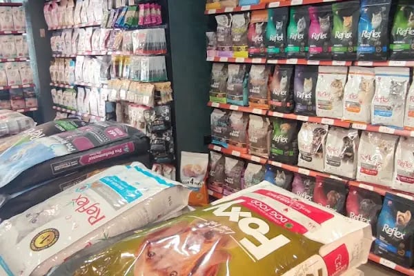 Mahmutlar Pet store - Resim 11