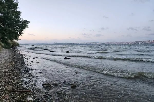 Avcılar Belediyesi Paşaeli Kent Parkı - Resim 14