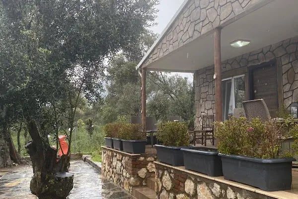 Bodrum Pet Kuaför - Resim 8