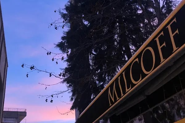 Milcoff - Resim 20