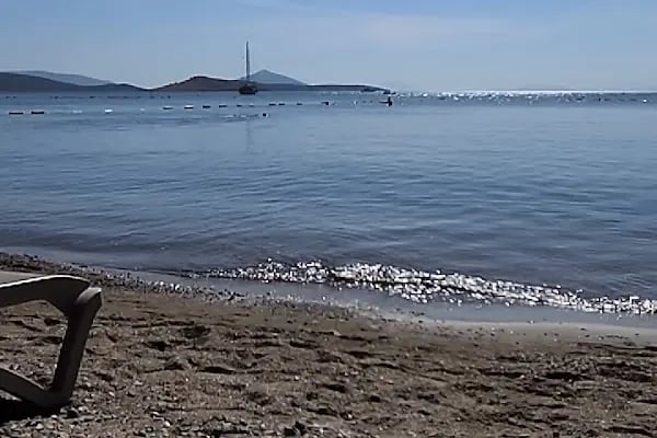 Yeşilyurtlular Bodrum Tatil Sitesi - Resim 11