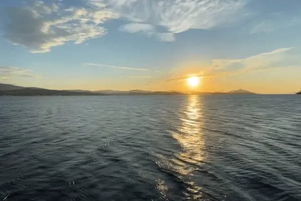 Yeşilyurtlular Bodrum Tatil Sitesi - Resim 4