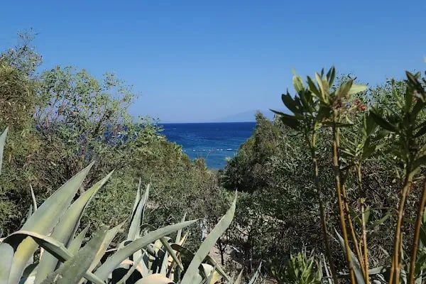Yeşilyurtlular Bodrum Tatil Sitesi - Resim 20