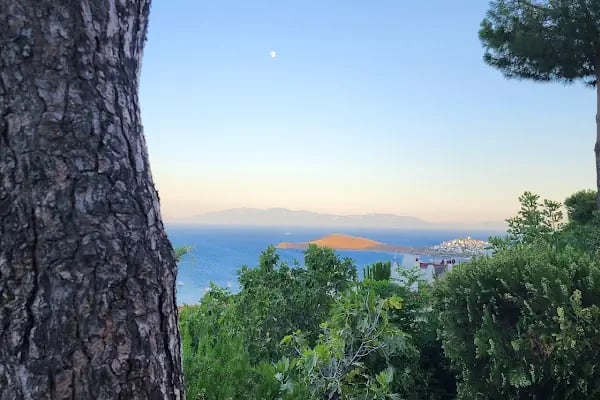 Yeşilyurtlular Bodrum Tatil Sitesi - Resim 13
