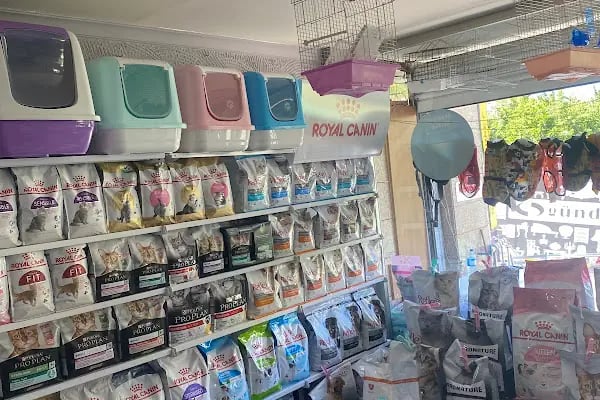 ONUR PET SHOP - Resim 6