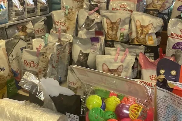 ONUR PET SHOP - Resim 2