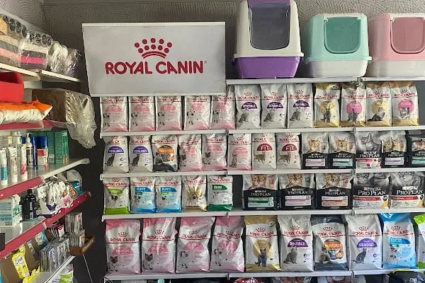 ONUR PET SHOP - Resim 4