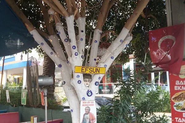 Efsun Balik Ekmek ve tantuni salonu - Resim 6