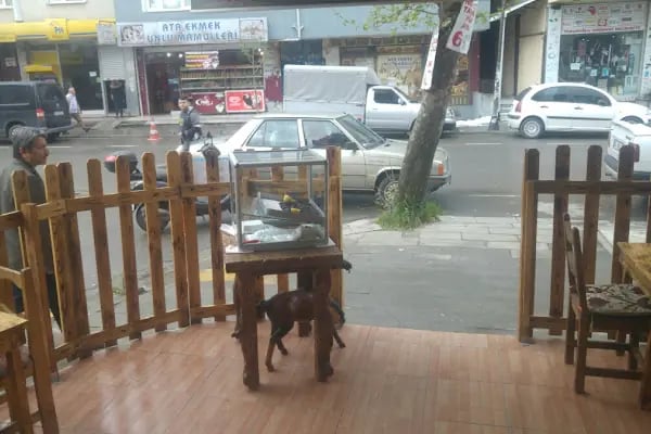 Çınar Cafe Fast Food - Resim 2