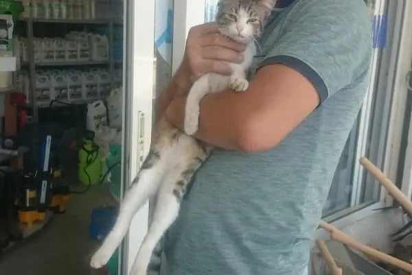Kundak Tarım Market - Resim 10
