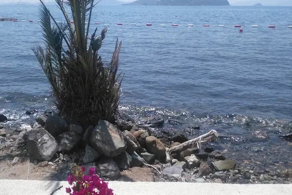 LÖSEV - Bodrum Turgutreis Tatil Köyü - Resim 8
