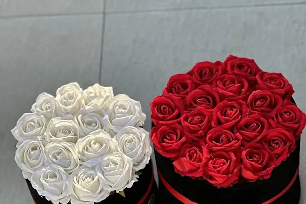 Florya Çiçekçilik - Resim 11