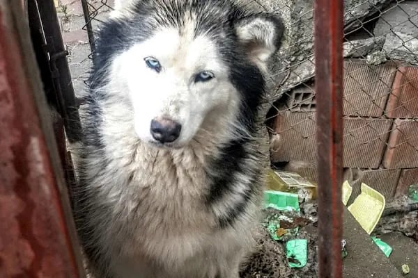 Karaderili Şirketler Grubu - Resim 3