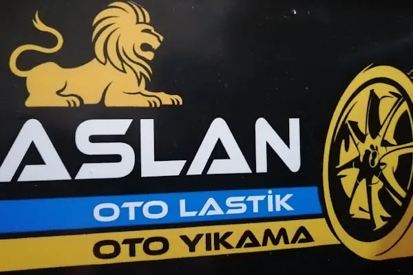 ASLAN PROFESSİONAL CARCARE GARAGE - Resim 18