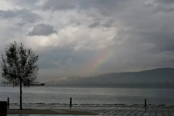 Mithatpaşa Parkı - Resim 14