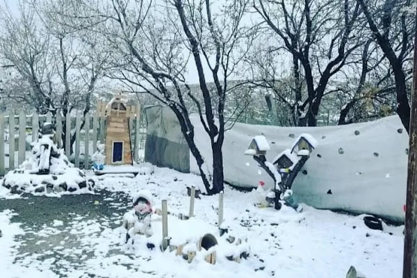 Ünler bağ evi - Resim 5