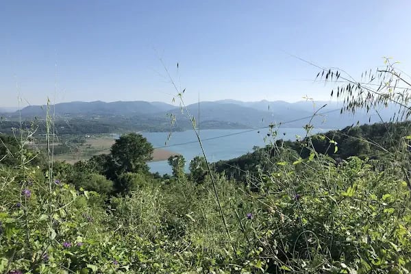 Sakarya Üniversitesi - Resim 7